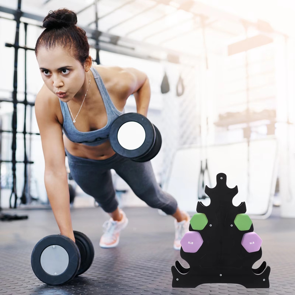 Budget-Friendly Dumbbell Rack  - Home Gym Budget avis et prix