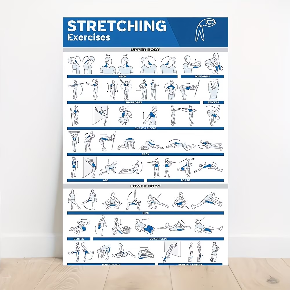 Modern Labeled Full-Body Stret - Home Gym Designs avis et prix