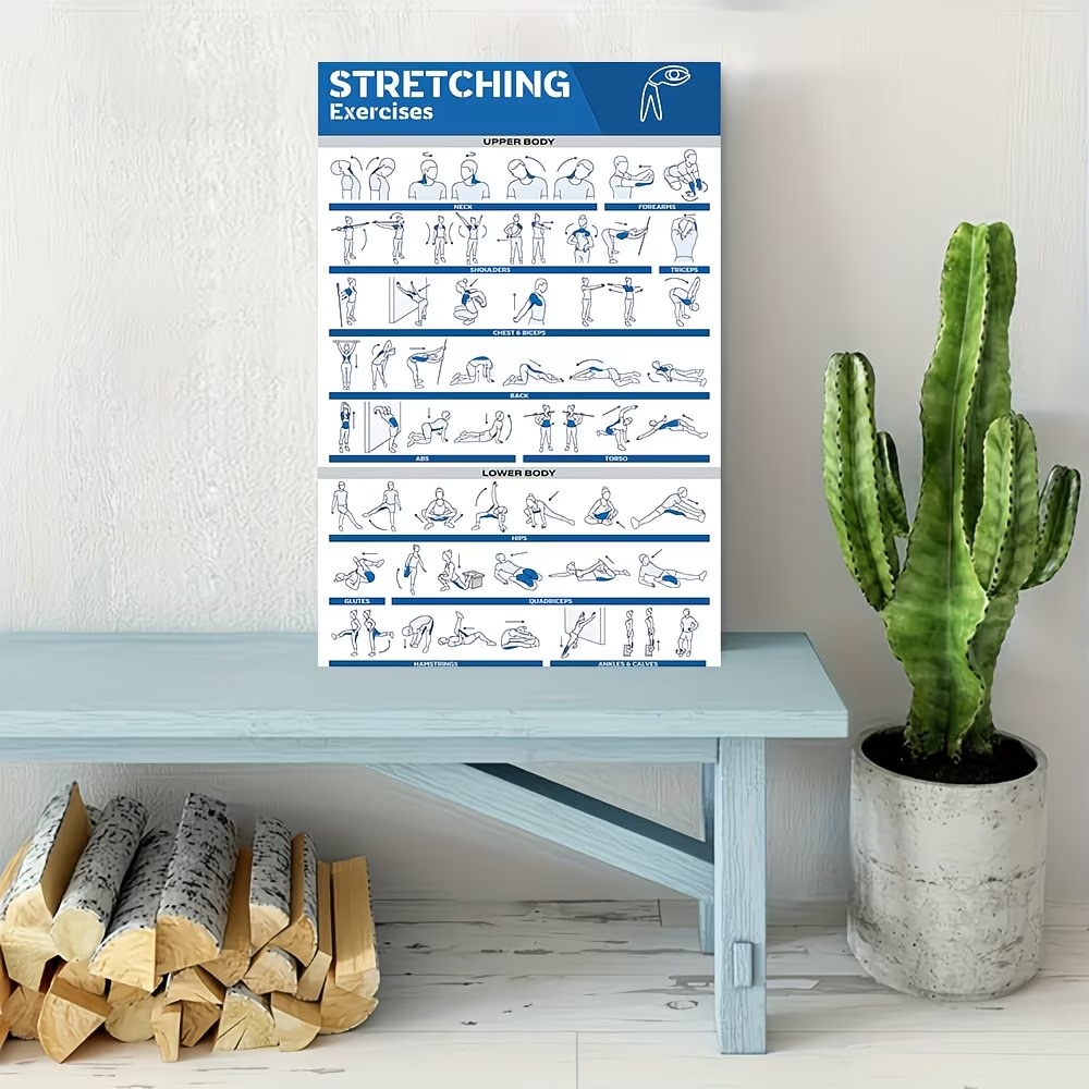 Modern Labeled Full-Body Stret - Home Gym Designs avis et prix