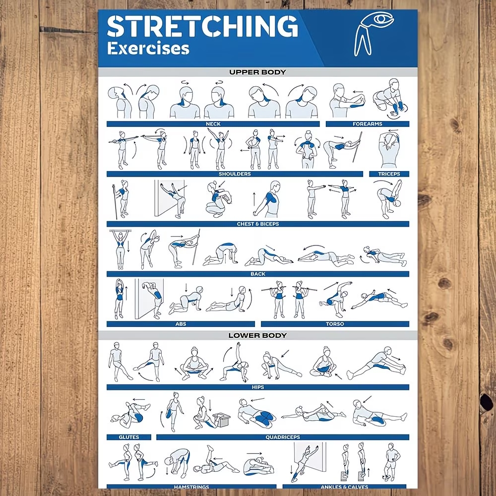 Modern Labeled Full-Body Stret - Home Gym Designs avis et prix