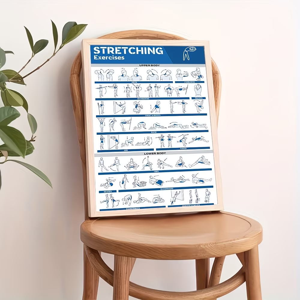 Modern Labeled Full-Body Stret - Home Gym Designs avis et prix