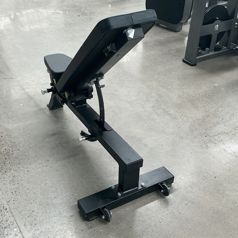 Adjustable Home Gym Dumbbell B - Home Gym Designs avis et prix