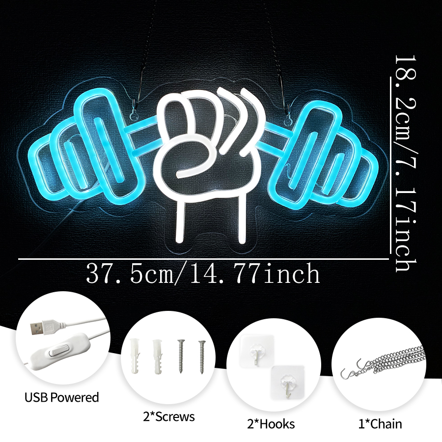 No Pain No Gain Neon Sign for  - Home Gym In Garage avis et prix